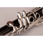 RZ WOODWIND - Klarnet B - ALLEGRO /opcje/